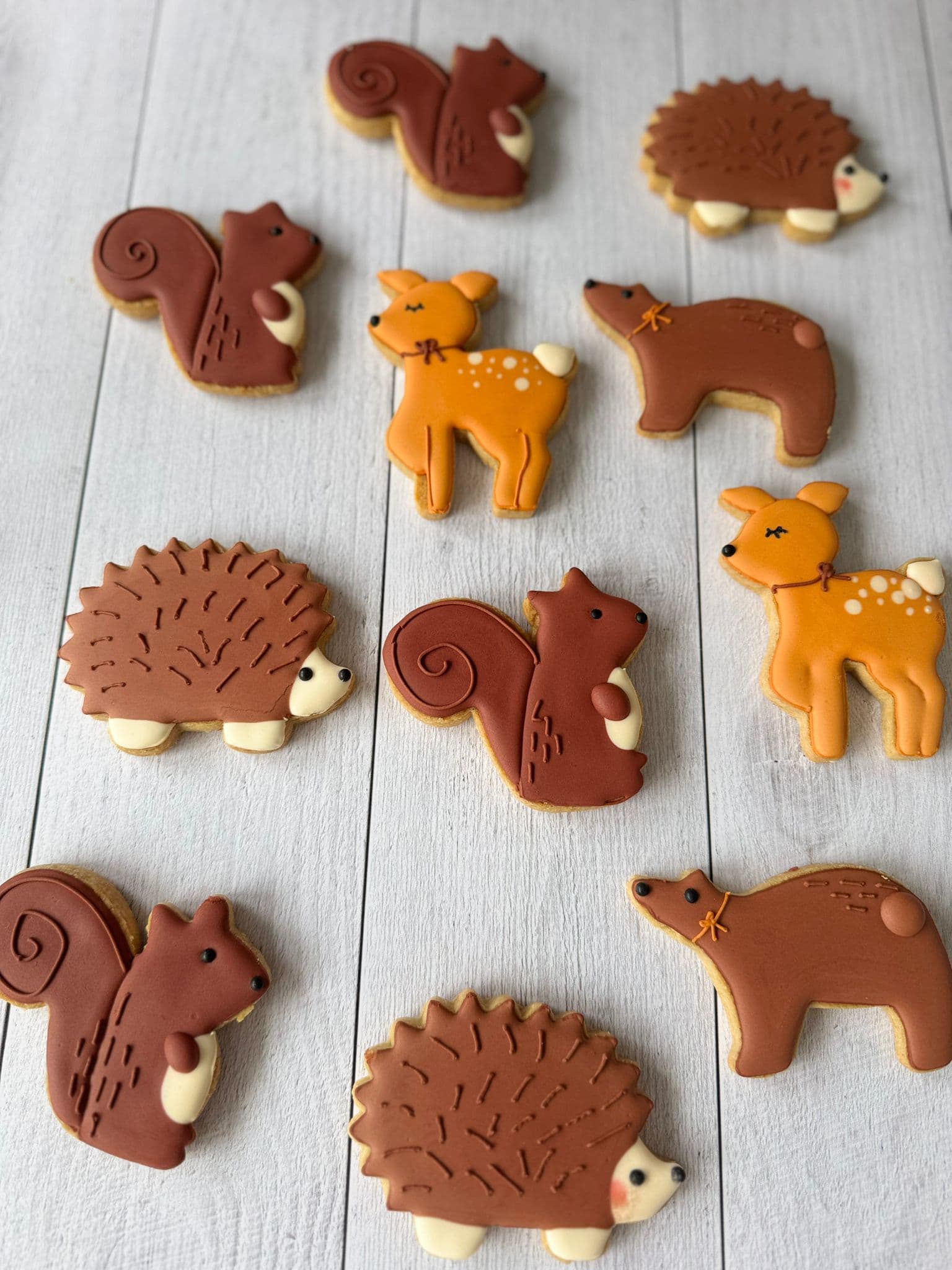 Biscuit hérisson, daim, écureuil, animaux de la forêt