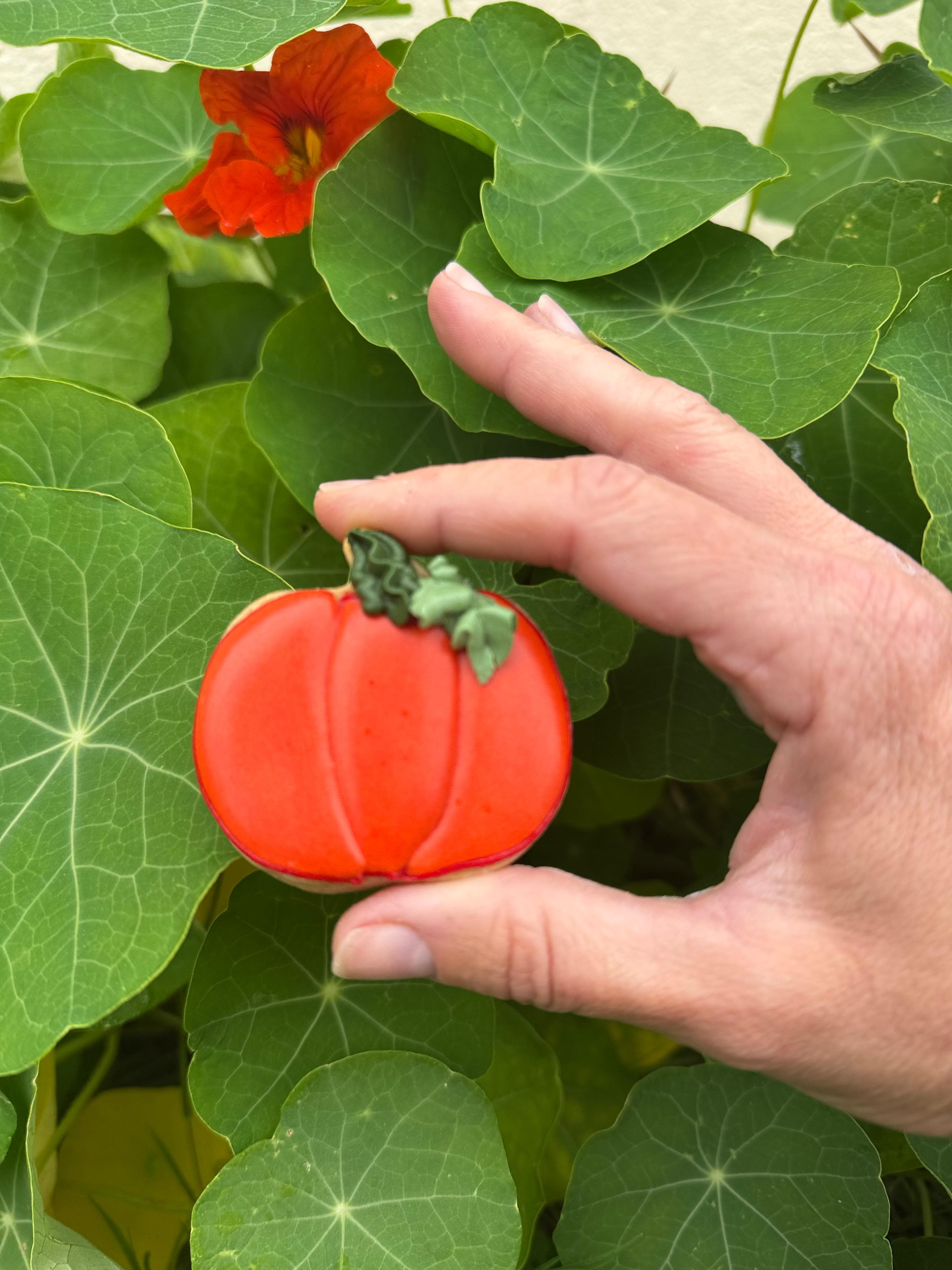 Biscuits halloween citrouille